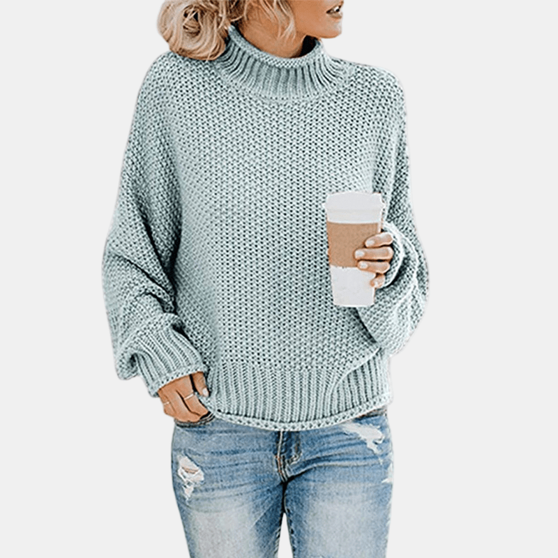 Jaselith | Snug Turtleneck Sweater