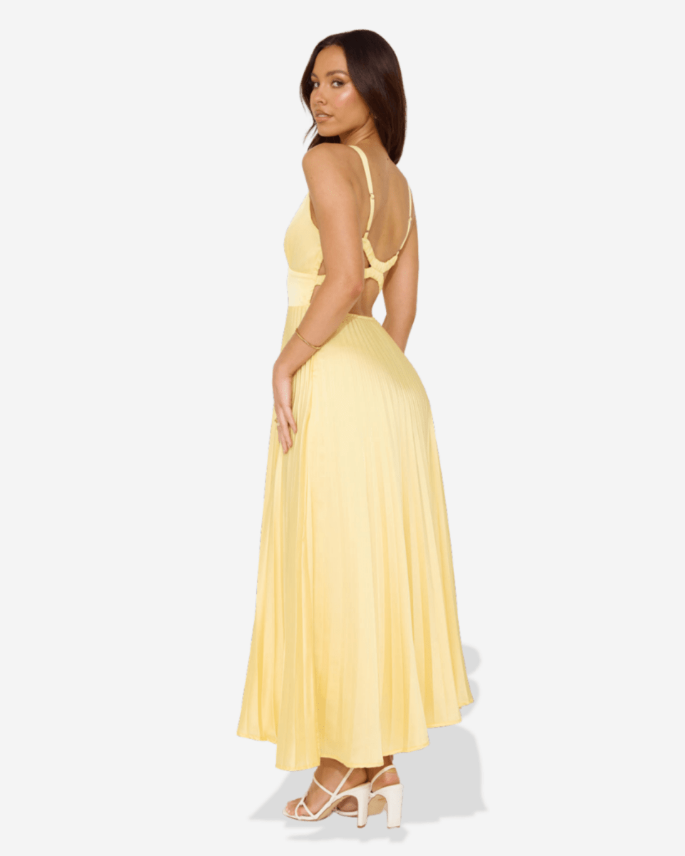 Lucy | Pleated V - Neck Maxi Dress