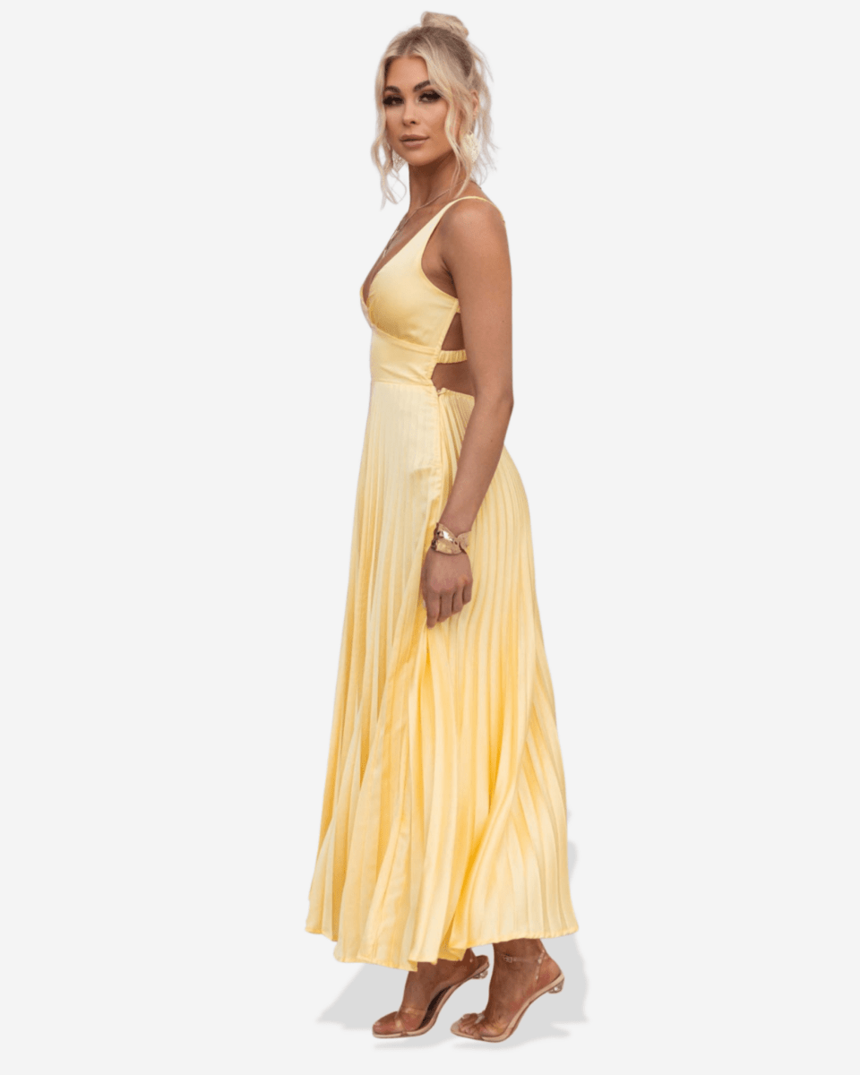 Lucy | Pleated V - Neck Maxi Dress