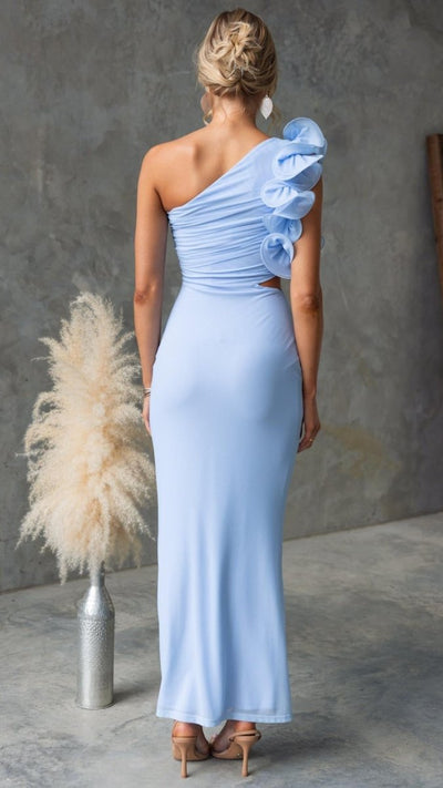 Serina | One - Shoulder Ruffle Mesh Maxi Dress